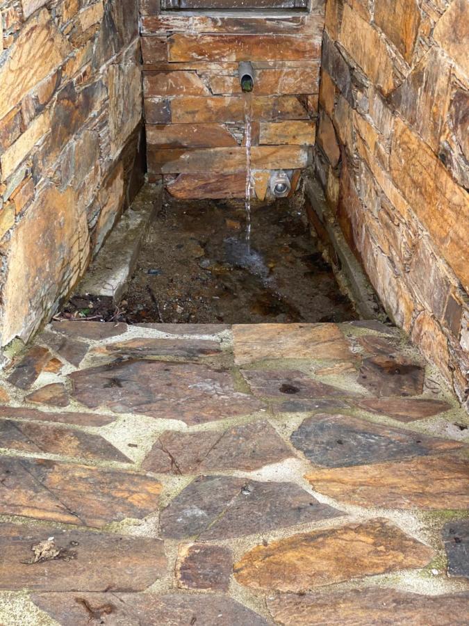 Isabel House Alojamento Rural Pampilhosa da Serra Dış mekan fotoğraf