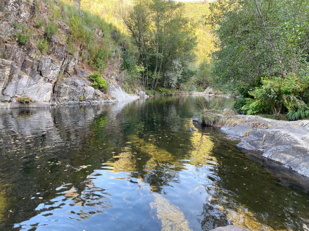 Isabel House Alojamento Rural Pampilhosa da Serra Dış mekan fotoğraf